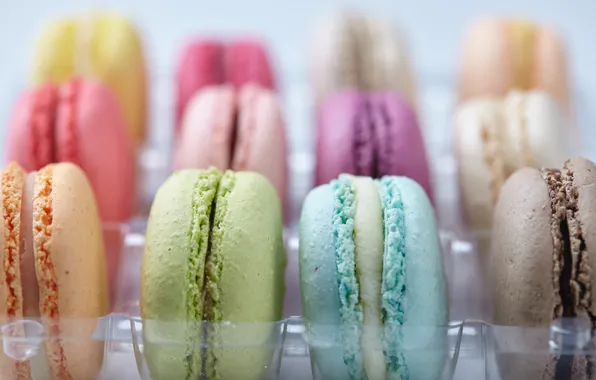 Colorful, dessert, sweet, sweet, dessert, cookies, macaron, almond