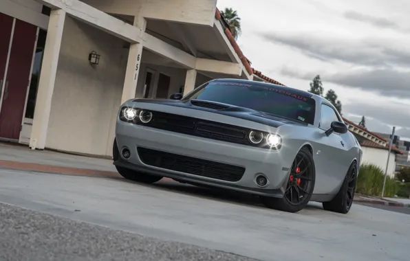 Picture Dodge, Challenger, Vorsteiner, Wheels, Scat Pack, on, Floor Dealership