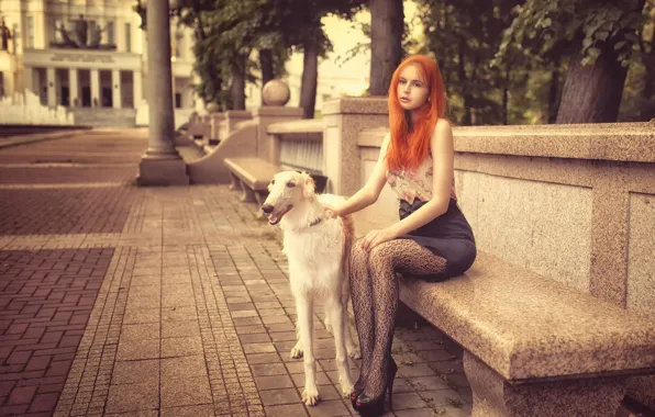 Picture girl, the city, dog, Anya, redhead, bench, Dmitrij Butvilovskij