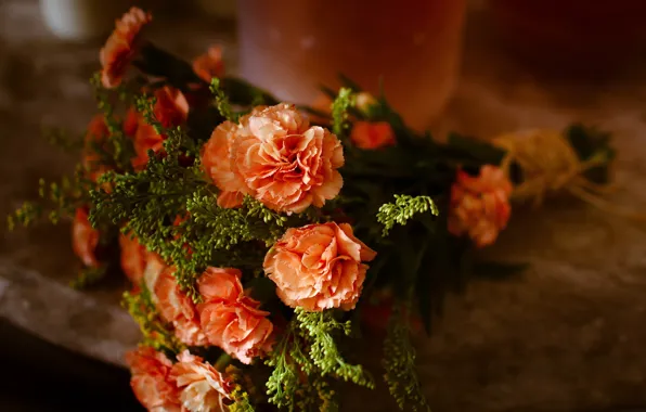 Picture flowers, bouquet, clove