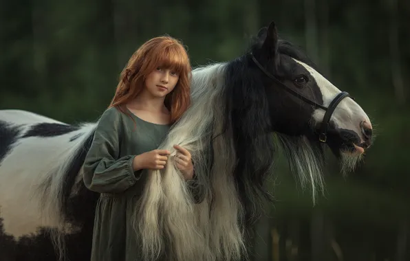 Look, face, nature, background, mood, horse, horse, girl
