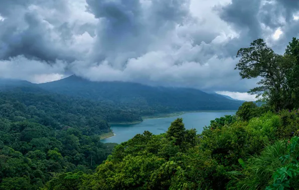 Sea, greens, mountains, clouds, tropics, overcast, coast, jungle