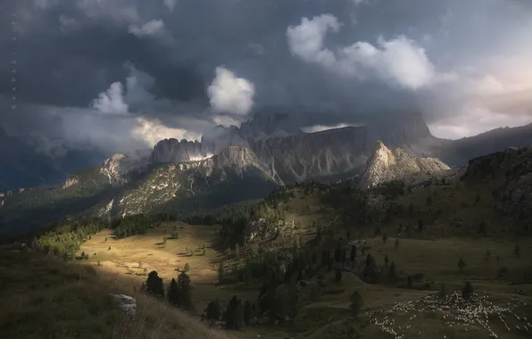 Clouds, trees, mountains, beauty, valley, space, flock, picturesque landscape