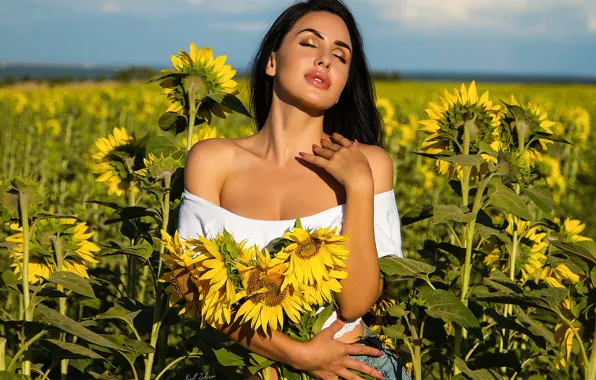 Field, summer, girl, sunflowers, pose, hands, neckline, manicure