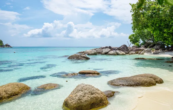 Sand, sea, beach, nature, the ocean, summer, beach, sea