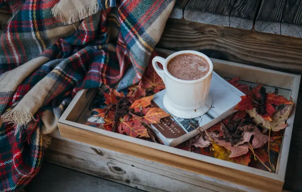 Picture leaves, Cup, plaid, very, cocoa
