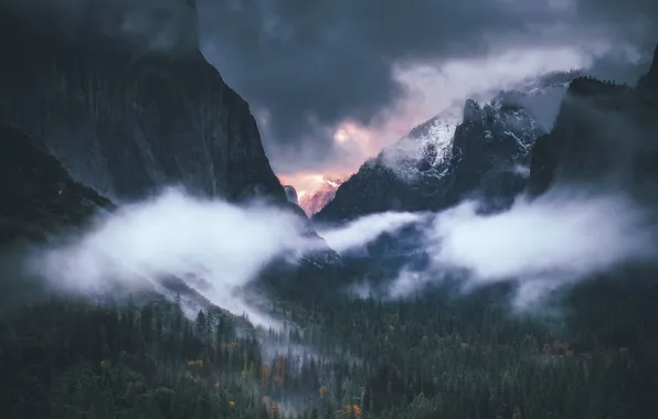 Picture forest, the sky, clouds, trees, landscape, sunset, mountains, nature