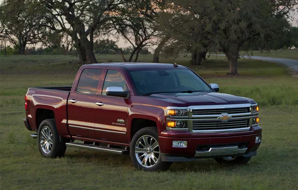 Picture machine, trees, Chevrolet, Chevrolet, pickup, Crew Cab, Silverado, High Country