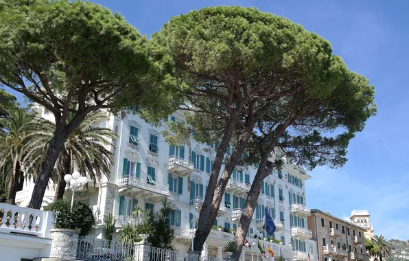 Trees, home, Italy, the hotel, Santa Margherita Ligure