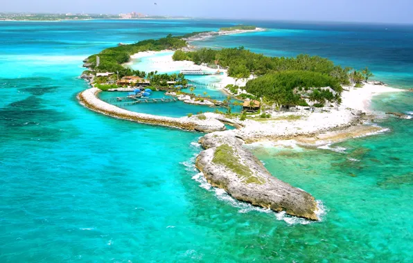 Picture palm trees, the ocean, island, Bahamas, Nassau, Blue Lagoon, isl