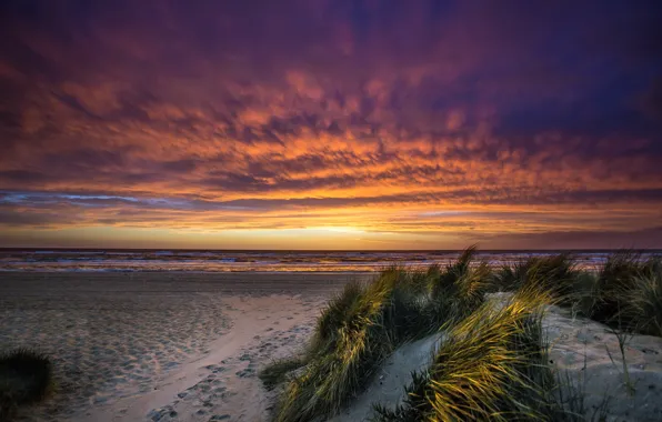 Picture sea, sunset, Port Phillip Bay, Chelsea Beach