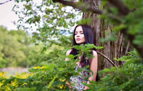Forest, girl, nature, tree, tenderness, brunette, beauty, Ukrainian