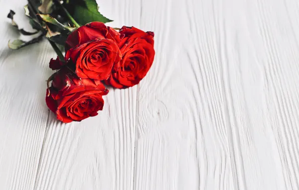 Picture flowers, background, bouquet, buds, red roses