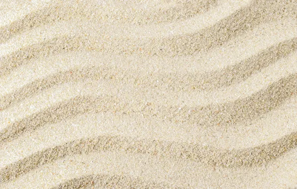 Picture sand, background, beach, texture, background, sand, marine