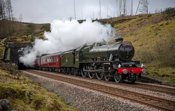 Nature, smoke, rails, the engine, cars, the tunnel, railroad, gravel