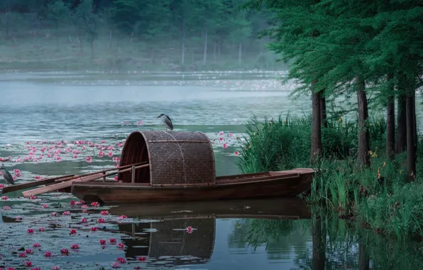 Forest, grass, trees, flowers, lake, pond, bird, shore