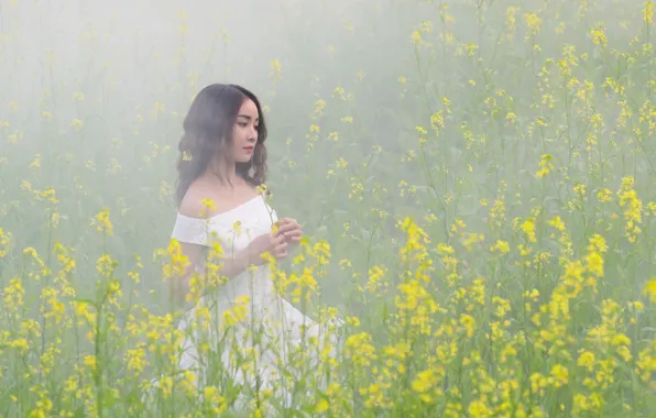 Picture flowers, nature, fog, model, meadow, Asian