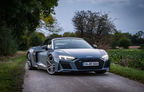 Road, car, machine, trees, Audi, lights, sports car, convertible