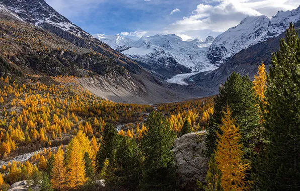 Picture Mountains, Switzerland, Alps, Landscape, Forest, Morteratsch