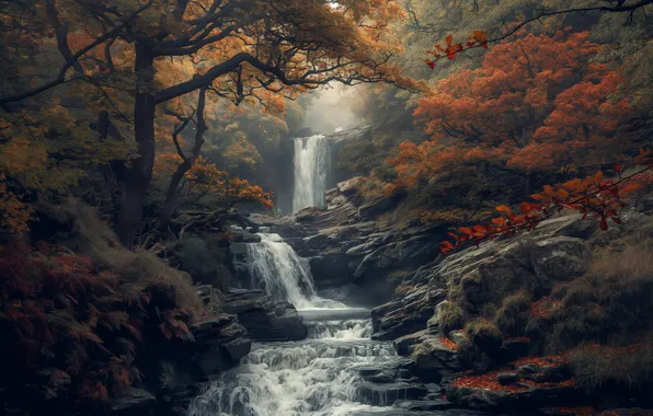 Picture autumn, forest, waterfall, AI art, neural network