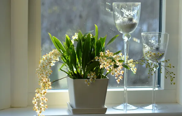 Picture flowers, window, sill, orchids, candlesticks, pots