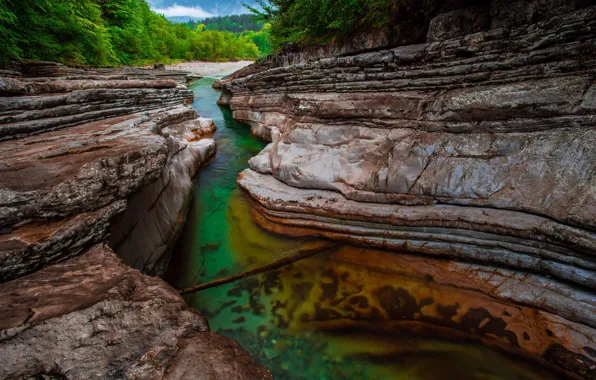 Forest, nature, river, rocks