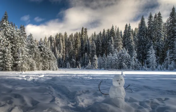 Winter, forest, snow, trees, ate, CA, snowman, Yosemite