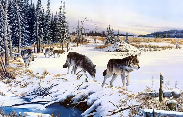 Winter, field, forest, the sky, snow, nature, figure, wolf