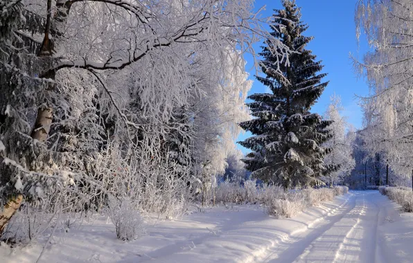 Winter, frost, road, forest, the sky, light, snow, trees