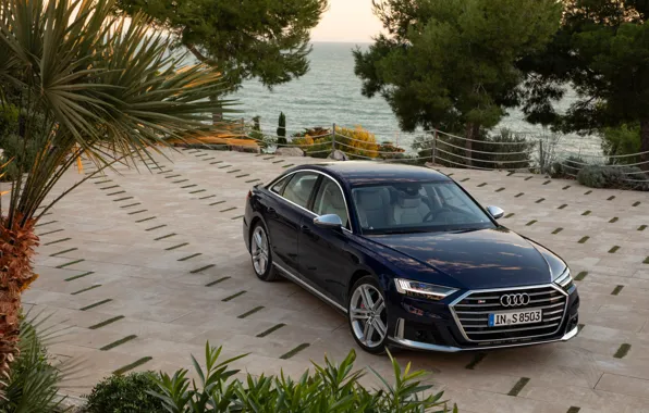 Blue, Audi, vegetation, Parking, sedan, Audi A8, Audi S8, 2020