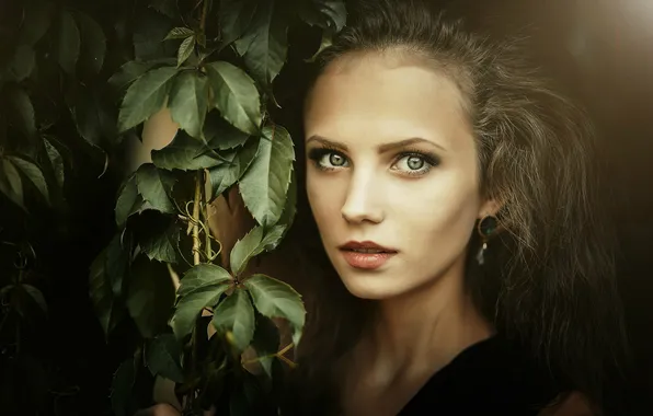 Look, leaves, girl, light, branches, face, model, portrait