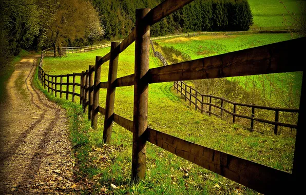 Picture road, field, the fence
