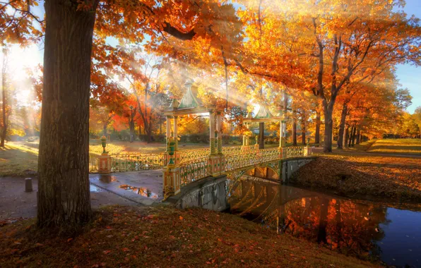 Picture autumn, rays, light, trees, nature, Park, channel, the bridge