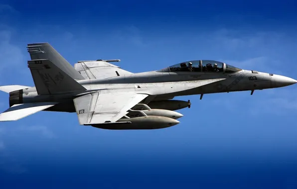 The sky, Wallpaper, fighter, the plane, Hornet, F18