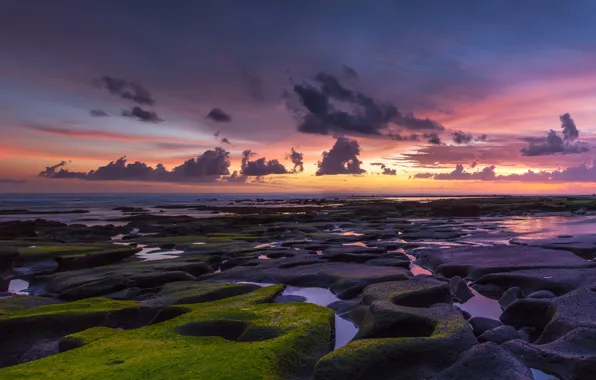 Sea, the sky, clouds, sunset, stones, the ocean, shore, moss