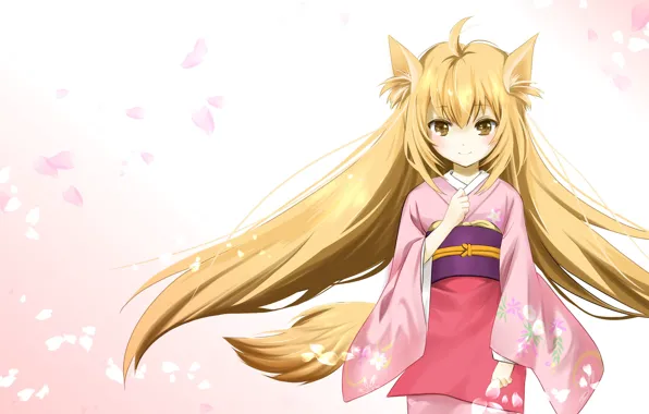 KONOHANA Konohana Kitan, Volume 14: Amano, Sakuya: 9781427878090