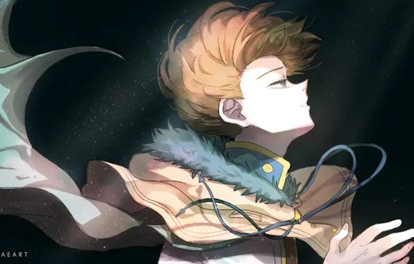 Picture light, guy, Black Clover, Langris Vaude