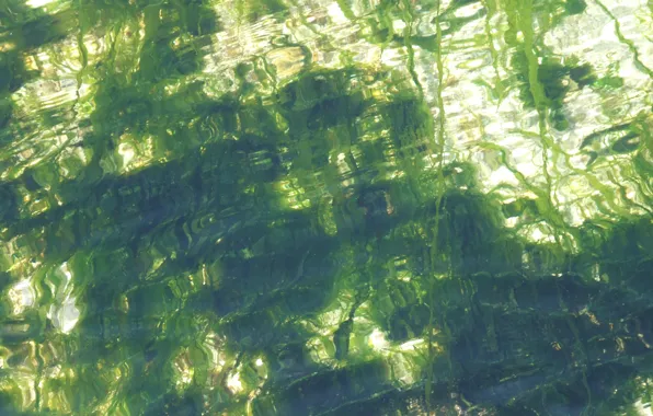 Green, wallpaper, white, sea, texture, water, wave, glitter