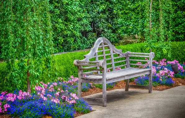 Flowers, bench, plant, HDR, garden, USA, Dallas, Dallas