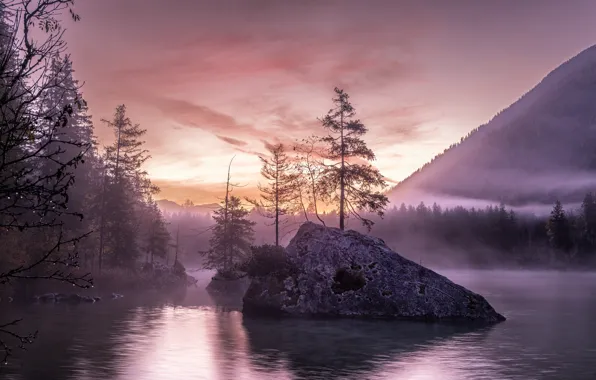 Forest, the sky, clouds, light, mountains, fog, lake, rocks