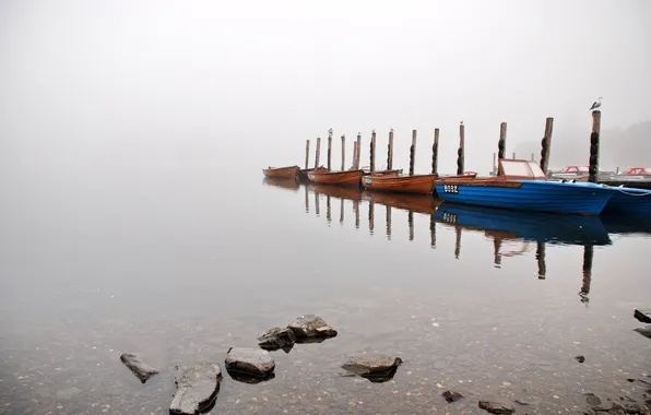 Fog, lake, boats