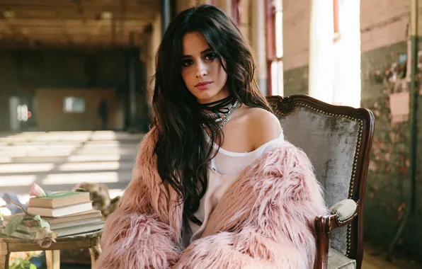Picture look, girl, pose, makeup, brunette, book, singer, Camila Hair