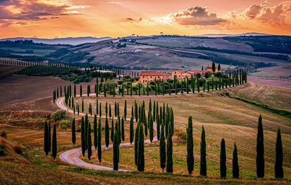 Wallpaper road, Italy, cypress, farmhouse, Baccoleno for mobile and ...