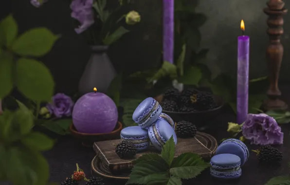 Table, cookies, cake, macaroon