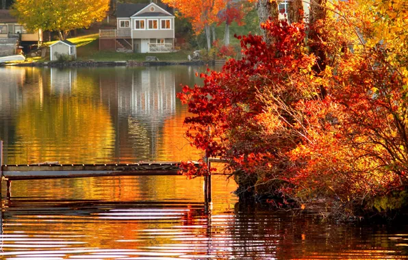 Autumn, forest, trees, landscape, Villa, home, Nature, house