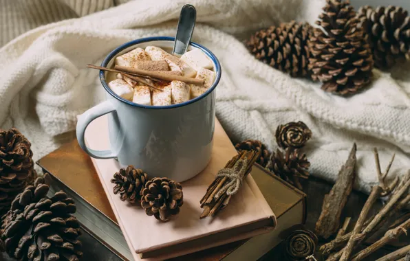 Autumn, coffee, Cup, fabric, book, cinnamon, bumps, Autumn