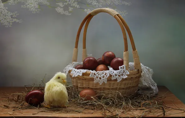 Picture basket, eggs, spring, Easter, still life, chicken