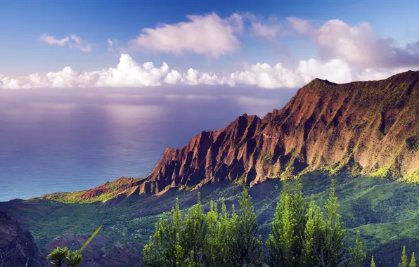 Sea, forest, clouds, mountains