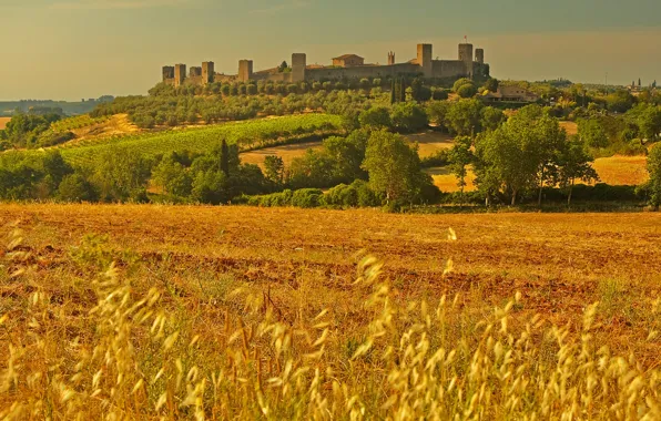 Field, landscape, wall, tower, Italy, Tuscany, Monteriggioni