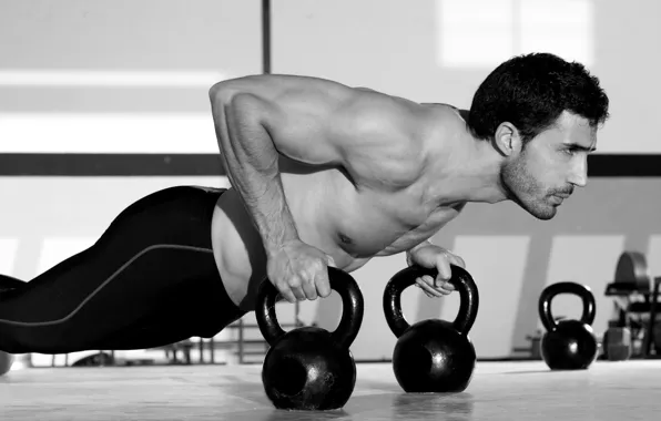 Fitness, muscle, muscle, training, athlete, workout, workout, fitness